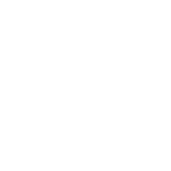 anuies