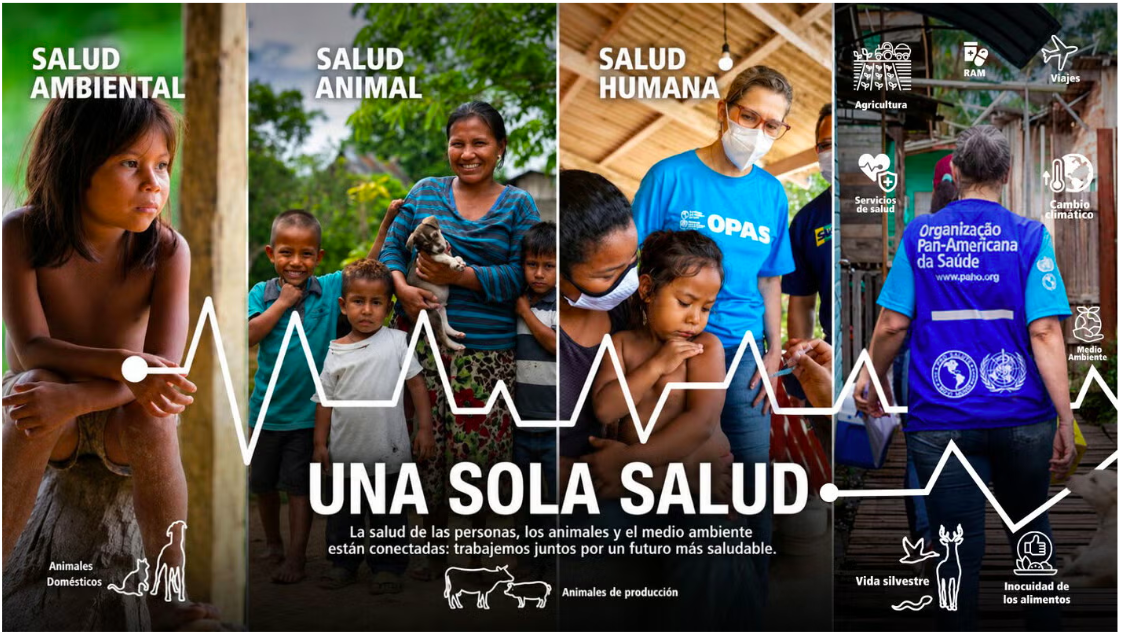 Iniciativa Una Sola Salud – OPS / Declaración conjunta Américas 2026